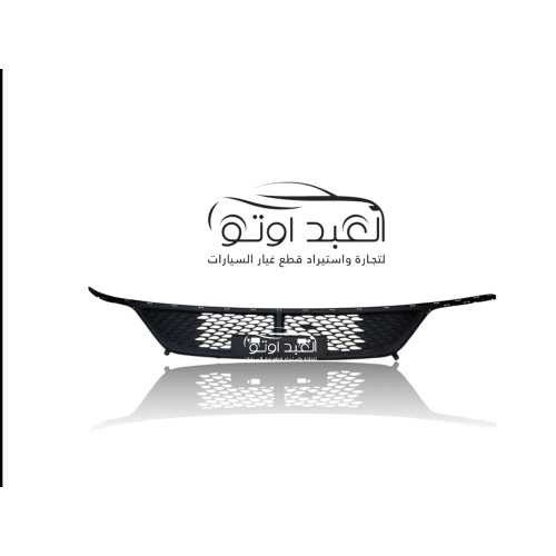 شبكة اكصدام امامي سفلي شيري اريزو5