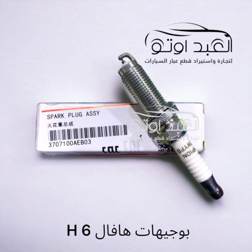 بوجيهات هافال H 6