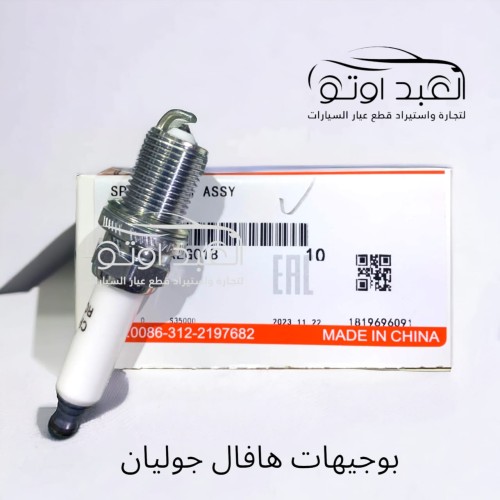 بوجيهات هافال جوليان