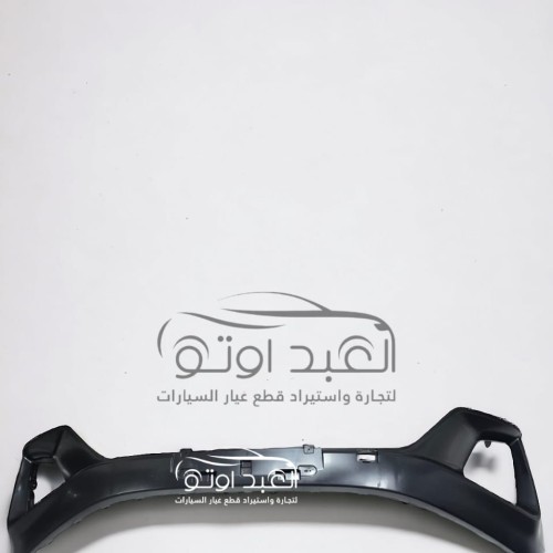 اكصدام امامي علوي جيلي اوكافانجو