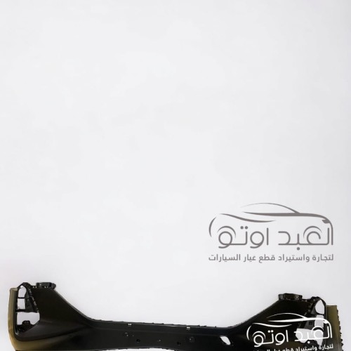 اكصدام امامي علوي جيلي كول راي