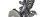 Moth